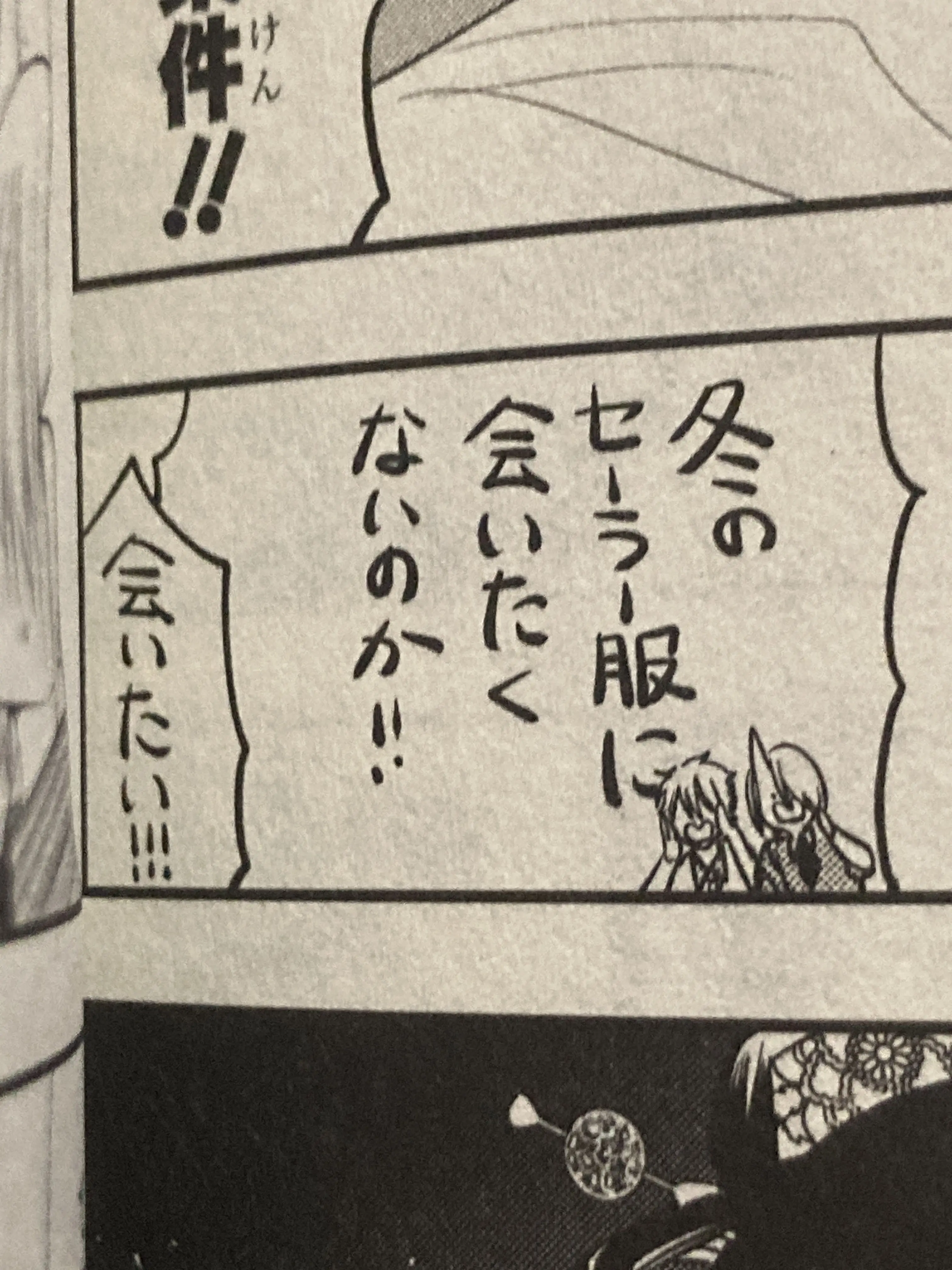 APH의 みるん👀