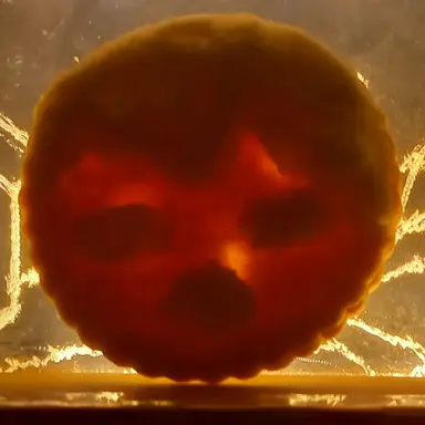 Profile image of 이하나