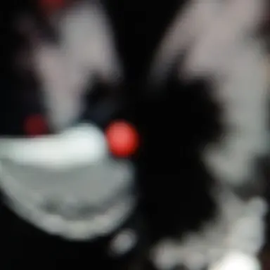 Profile image of 오리가루루