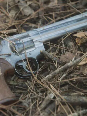 QuietAddax0382의 Apocalypse Survival RP
