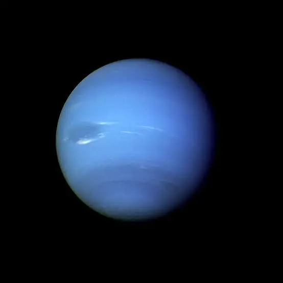 Ilikebear의 임현식