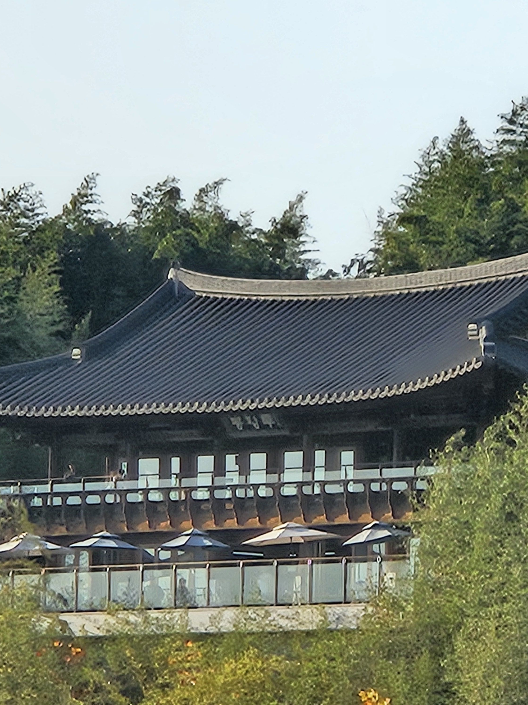 신하람 대표 이미지
