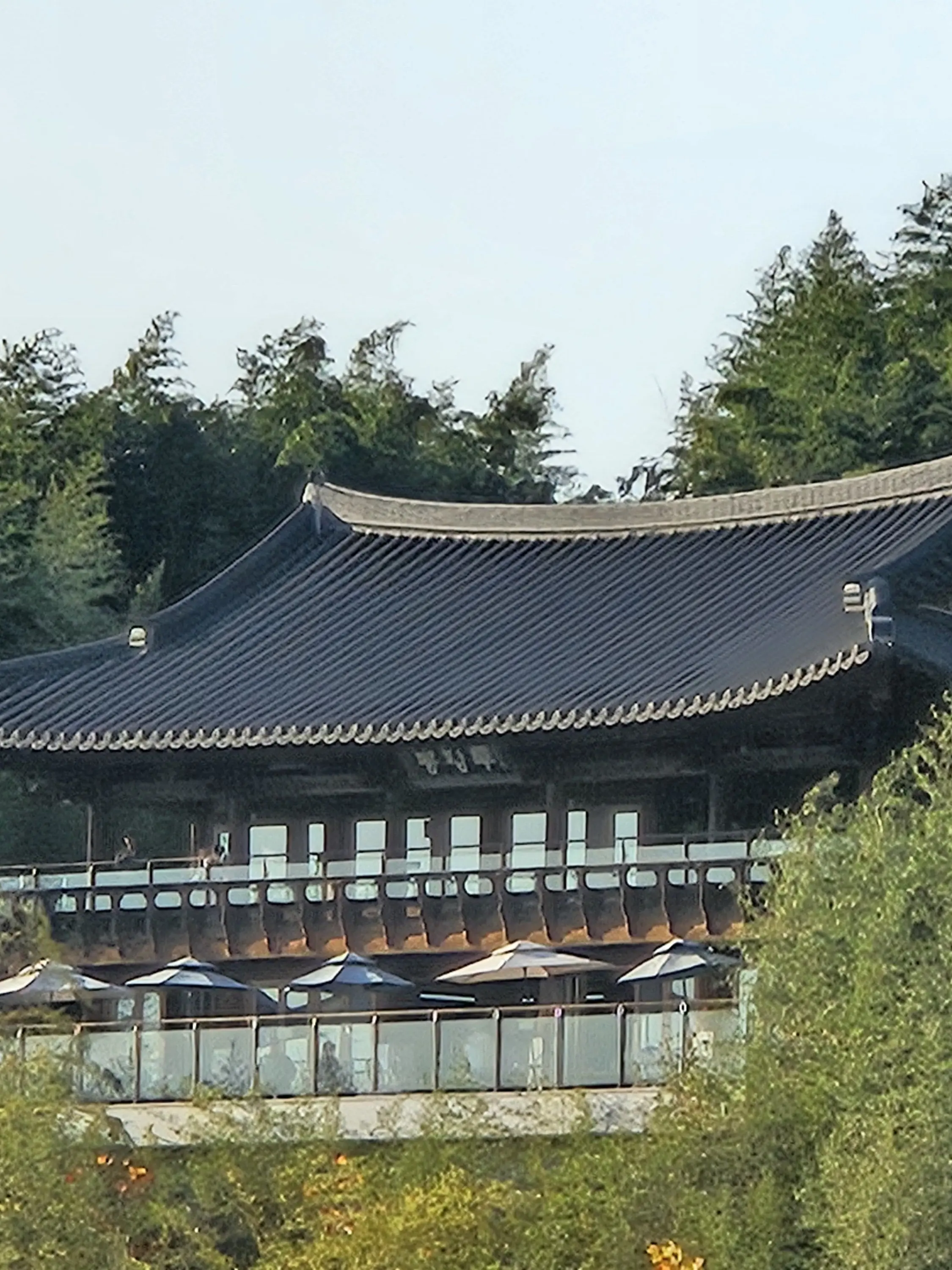 Rora0814의 신하람