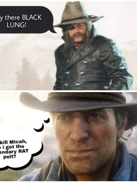 Something25367의 RDR2 story thing