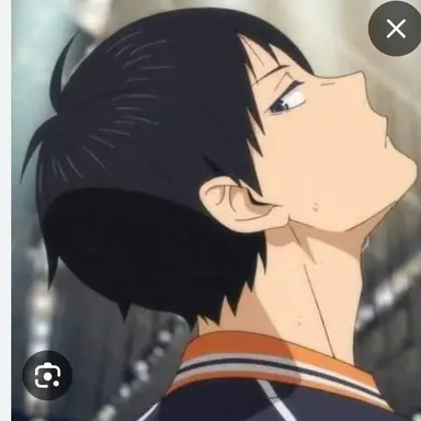 Profile image of 影山 飛雄