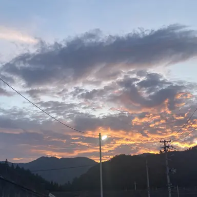 Profile image of 悠真