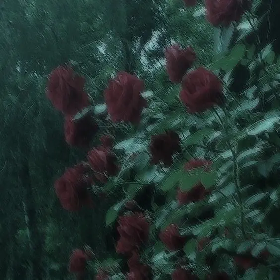 0390의 .