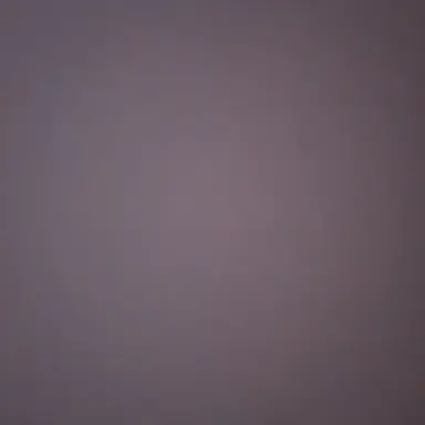 Profile image of 최 수 빈