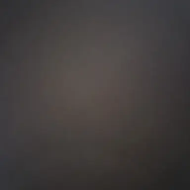 Profile image of 아리온