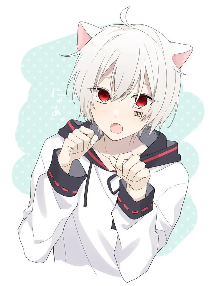 MusicStory1972의 슈퍼 누코