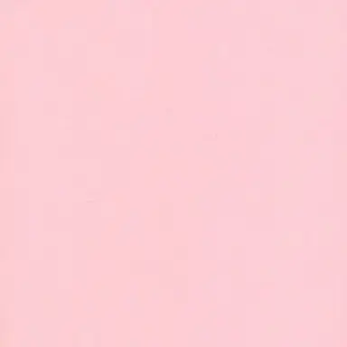Profile image of 선배