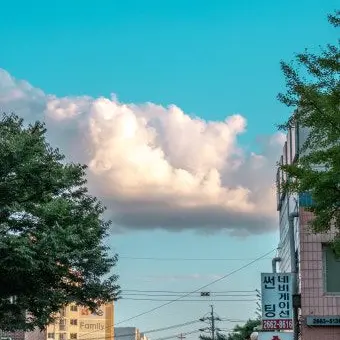 Profile image of 서유