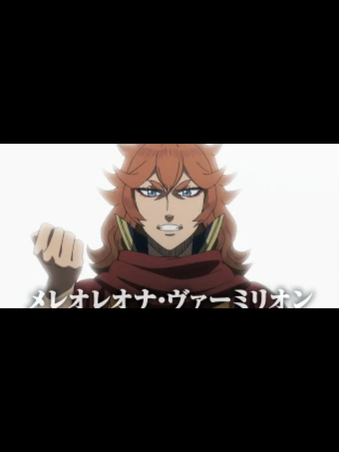 MustyPain2934의 紅蓮の獅子王団 入試団長
