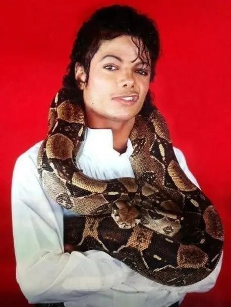 MistyNylon5398의 Michael Jackson