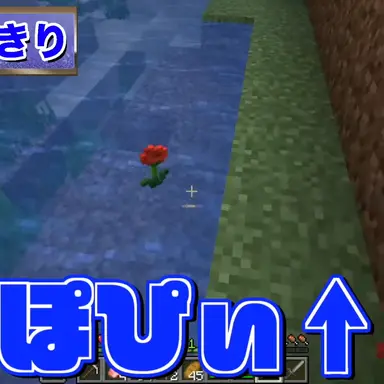 Profile image of なおきり