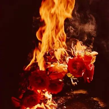 Profile image of 플래그