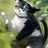 にゃーごん