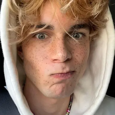 Profile image of Sully