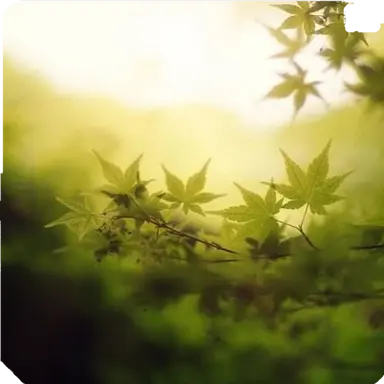 Profile image of 당신