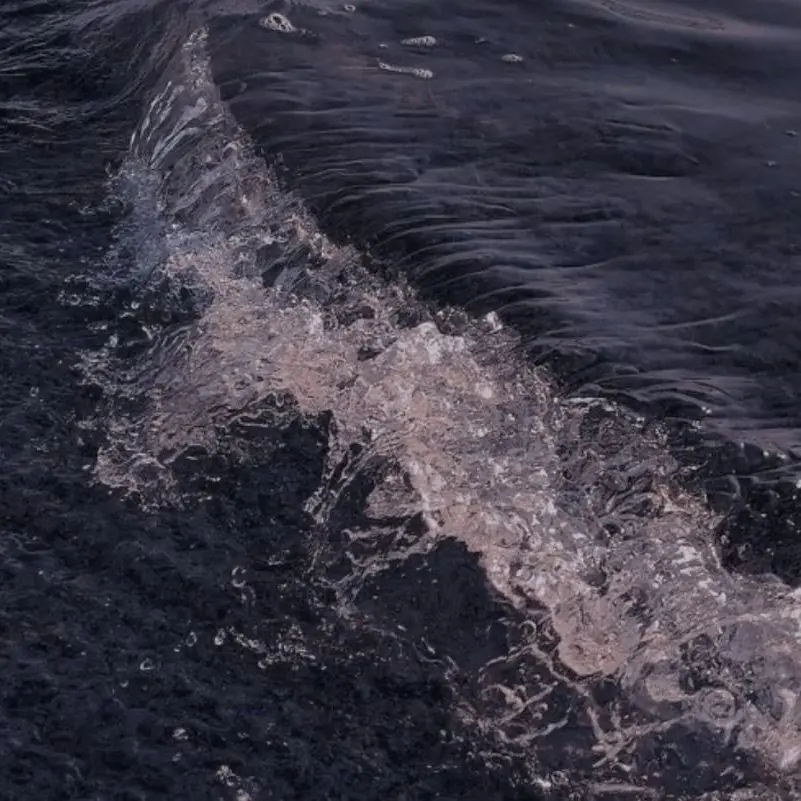 ChubbyBroom6869의 사생팬