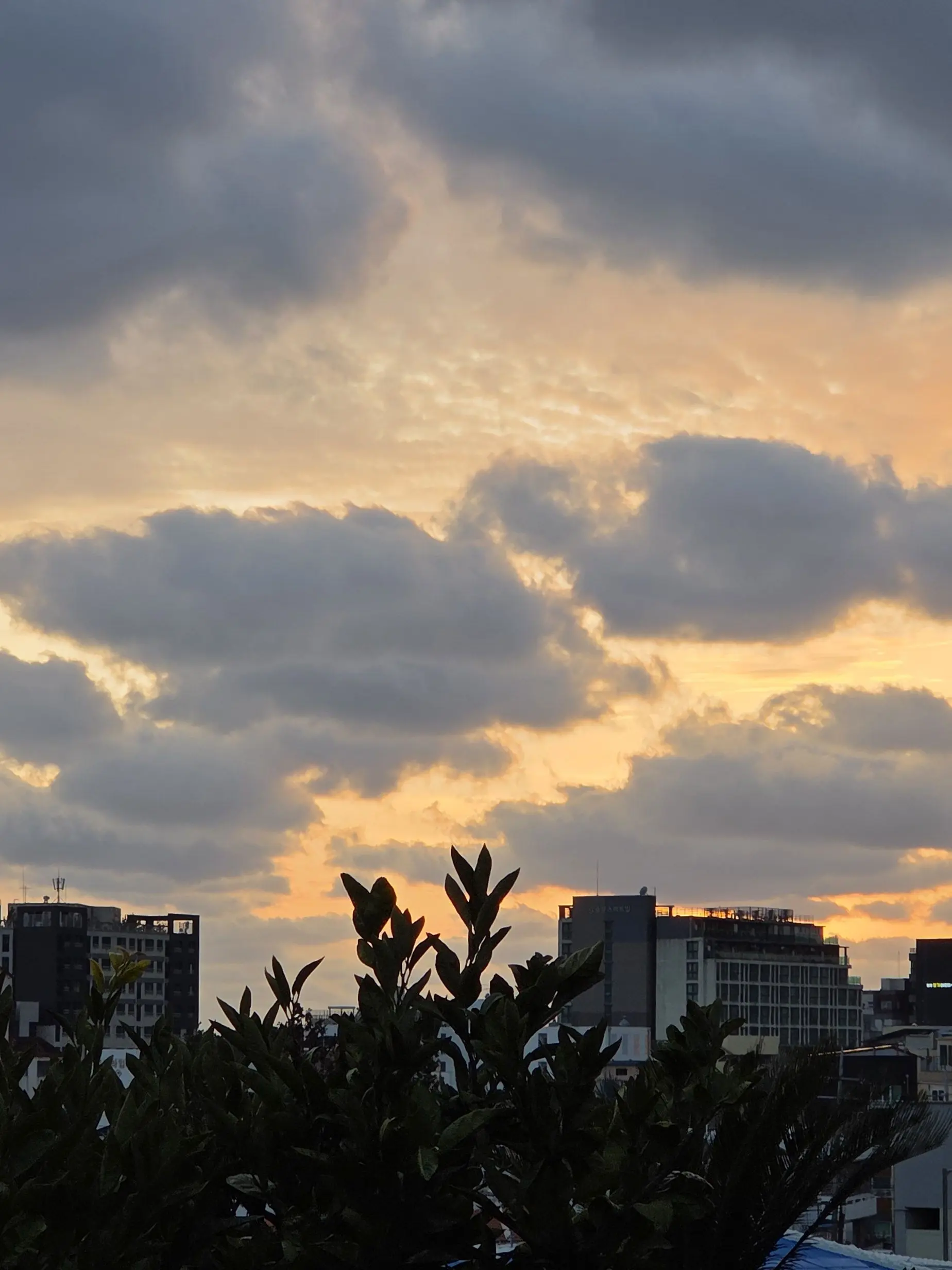 CherryFloss2315의 차은우