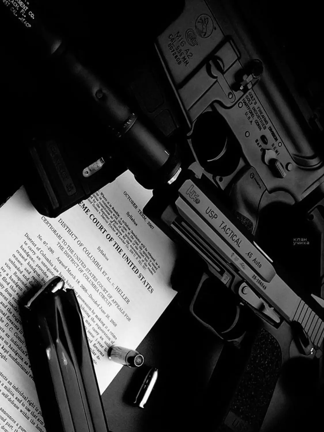 C_bal.의 -ˋˏ ༻타깃 호시나༺ ˎˊ-