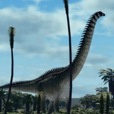 Profile image of 디플로도쿠스