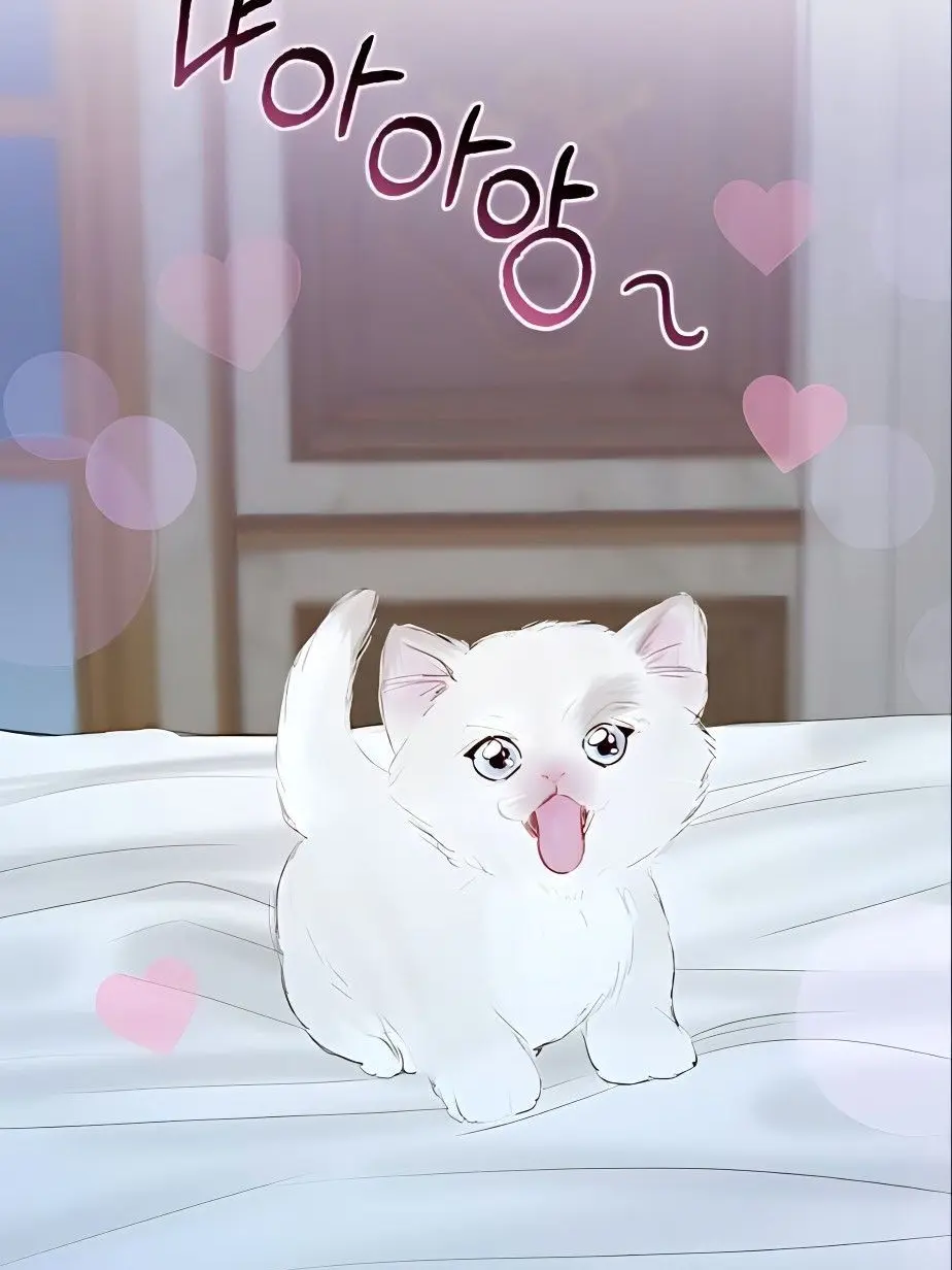 FierceLynx1670의 평범한 길고양이가 날 너무 좋아한다