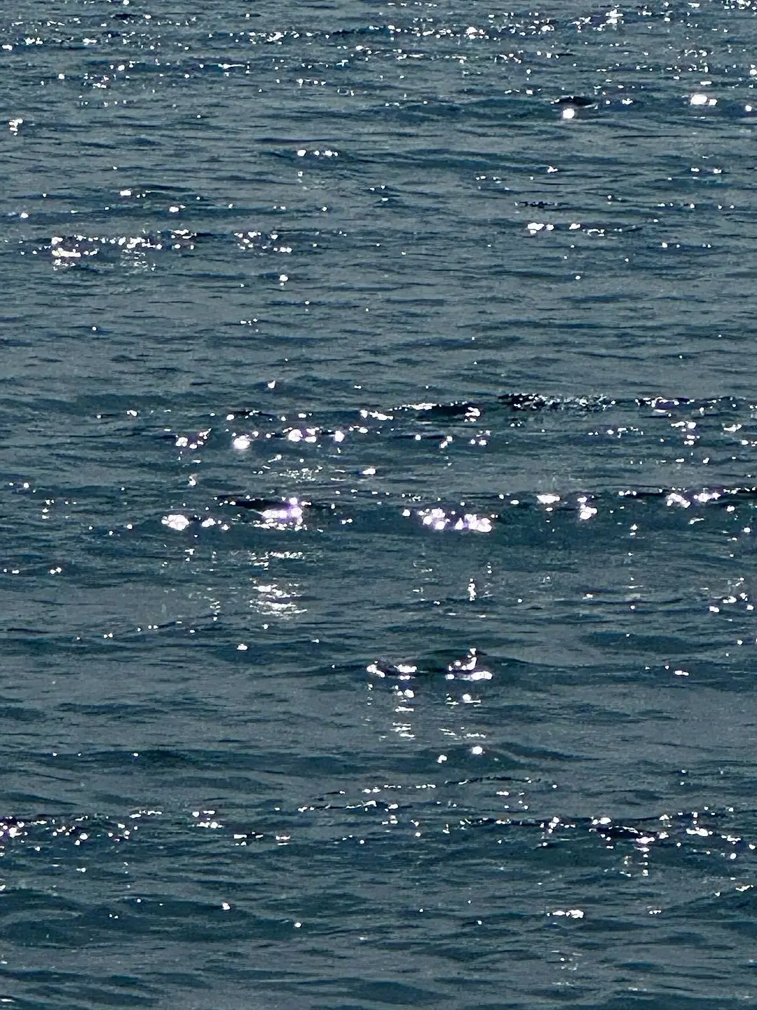 tobehappy의 잊어버리지마