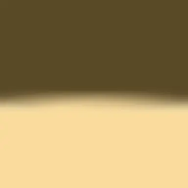 Profile image of 덴 카시우스
