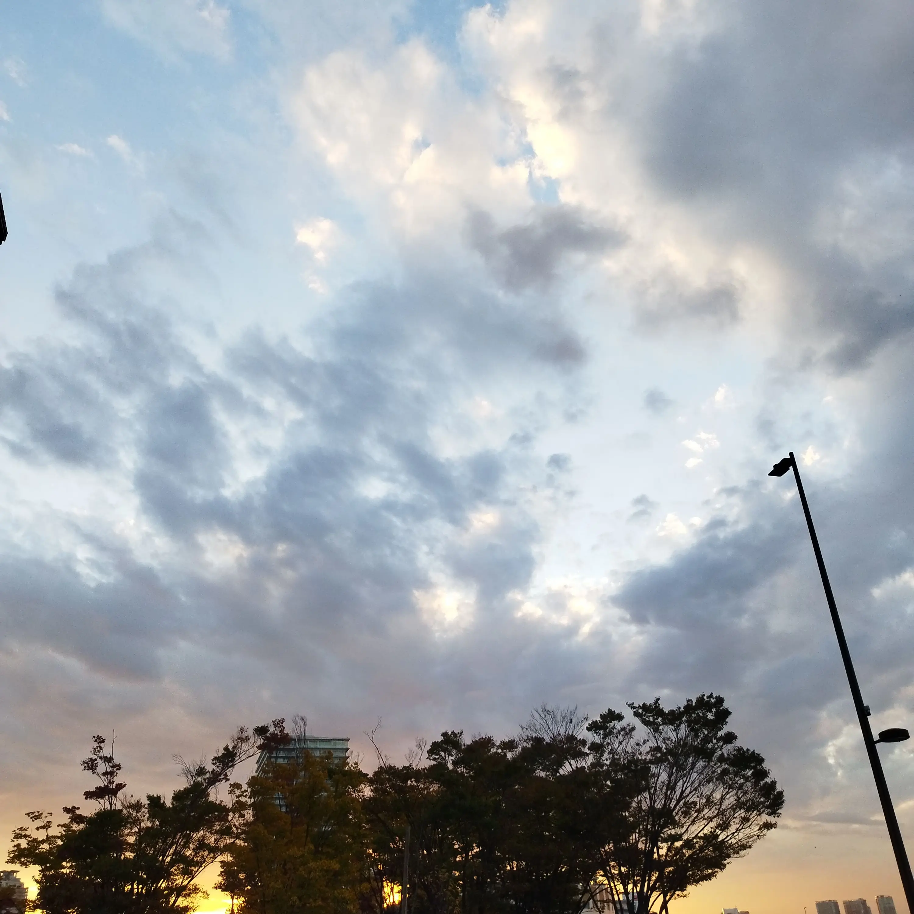 Yuyuda의 リンちゃんなうぱろ