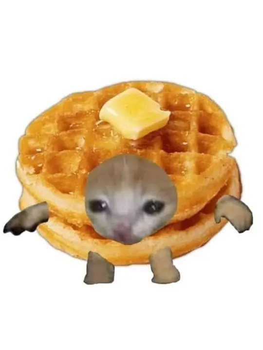 fu_yo03의 わんちゃんめちゃつえー🐶