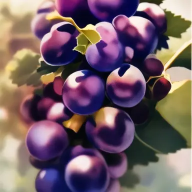 Profile image of 유성