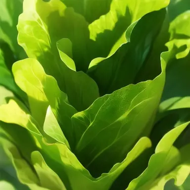 Profile image of 운터