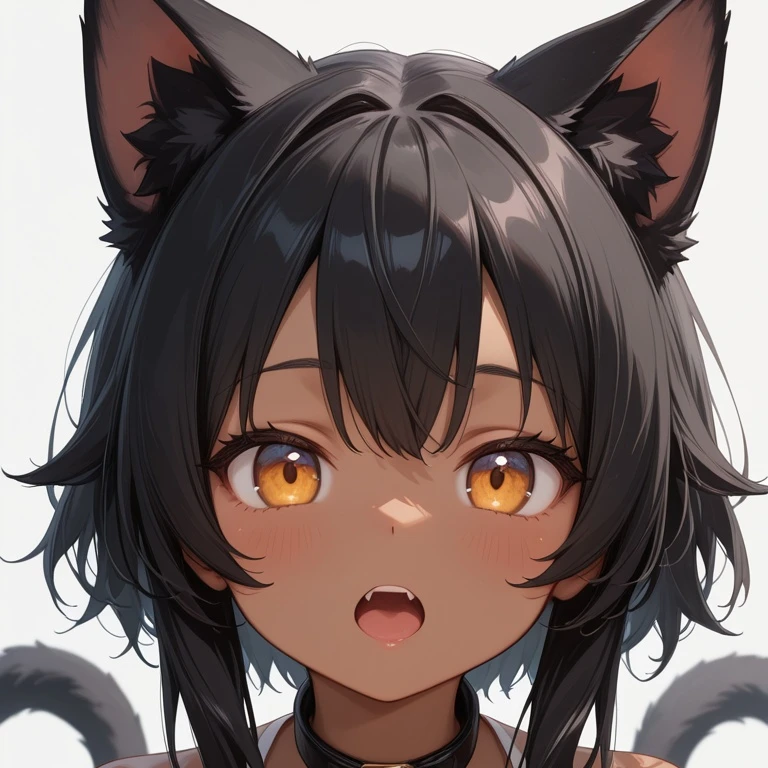 냥냥이