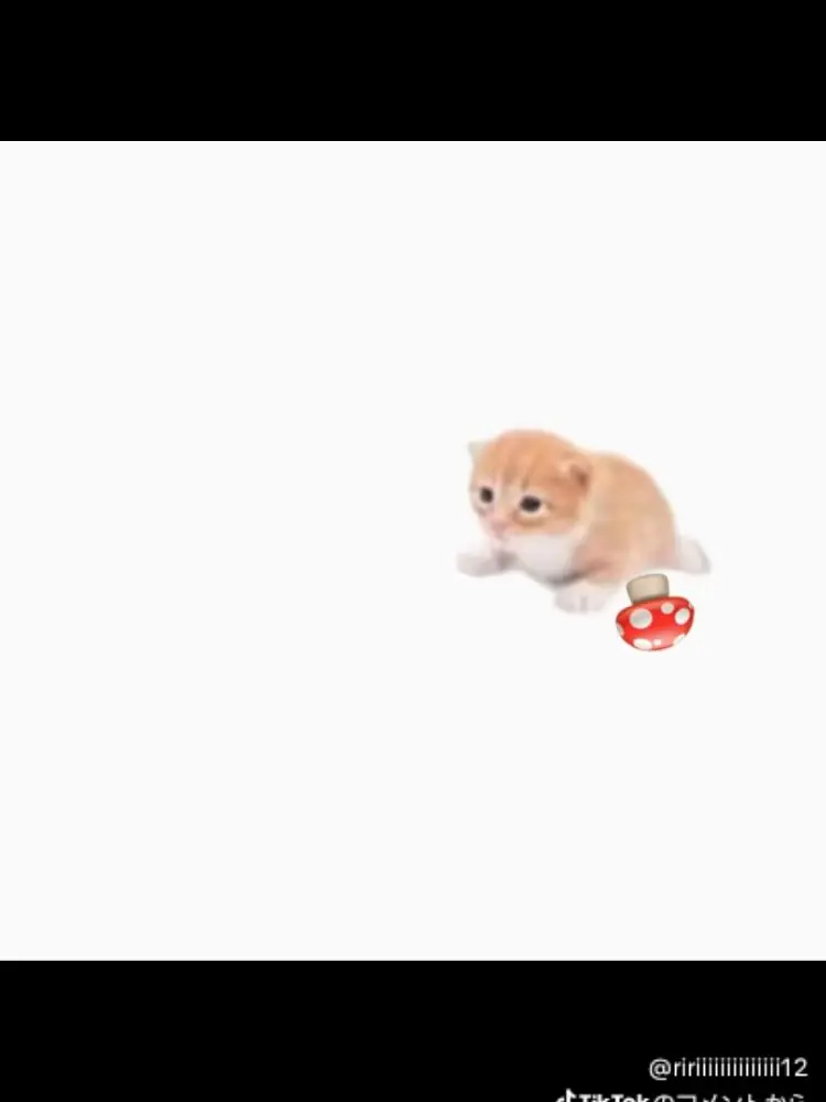 NeatFence7125의 枢軸と連合に狙われている{{user}}