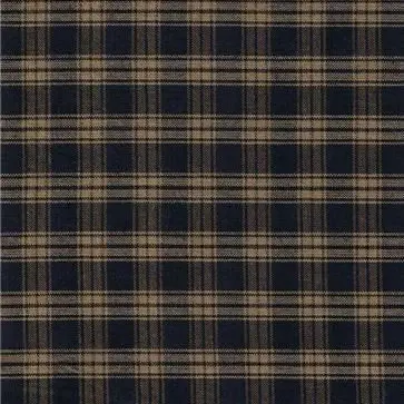 Profile image of INI