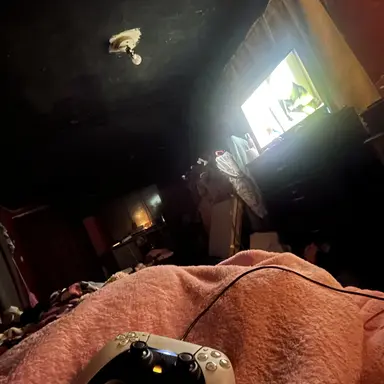 Profile image of Asher
