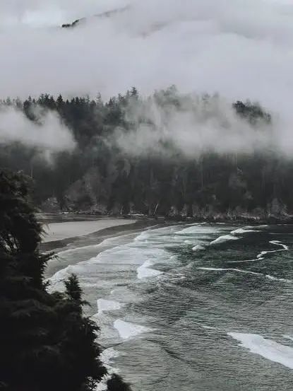 Crowvern의 Far From The south