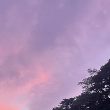 Profile image of 여우
