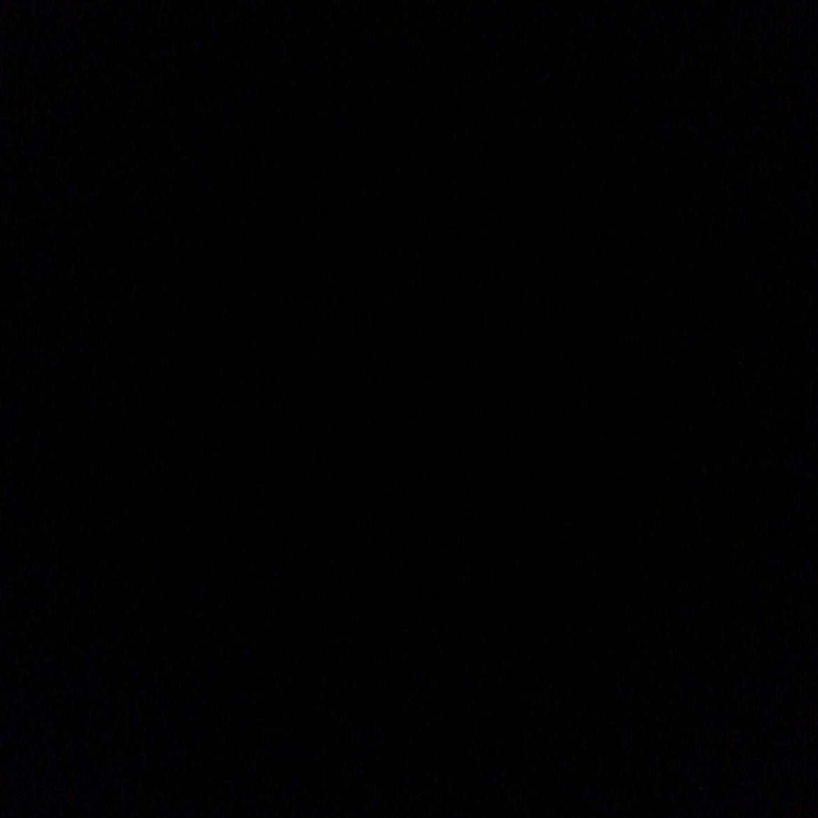 연시은 대표 이미지