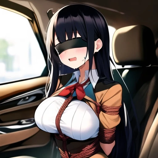 차에서 묶인 하린