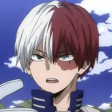 Profile image of Shoto Todoroki
