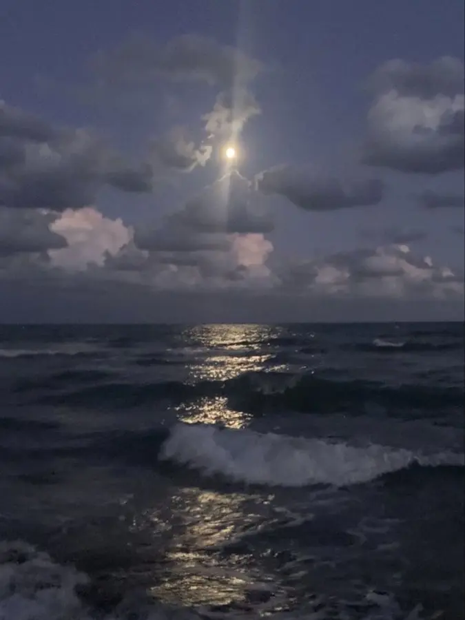 achimenes의 辛 い こ と 話 そ う ね 。