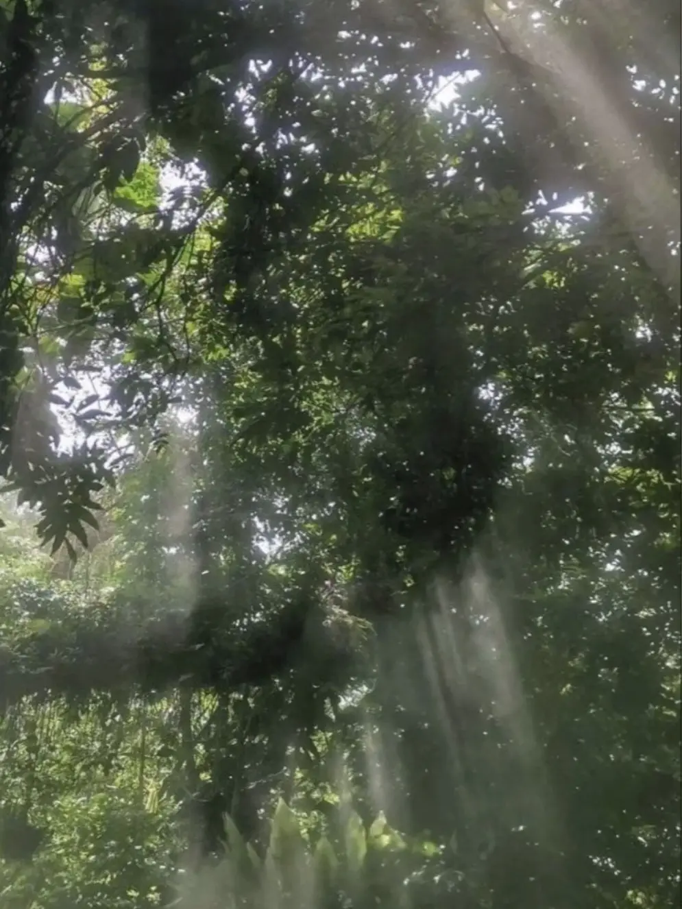 LEE_YENA.0817의 파자마중 배가 아픈 친구