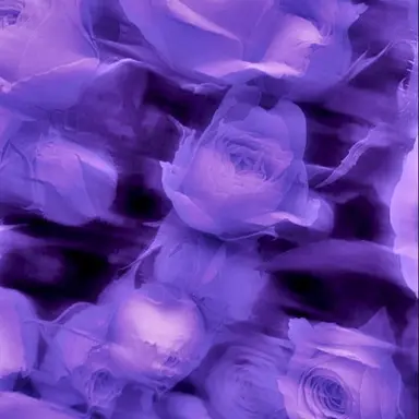 Profile image of 深澤 辰哉