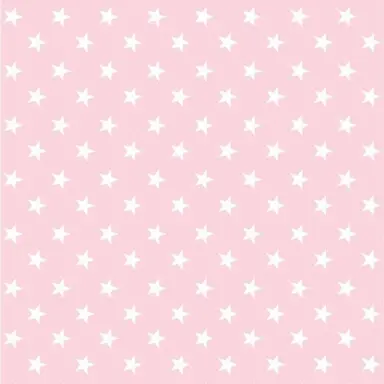 Profile image of サクヤ