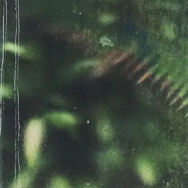 Profile image of 윤택준