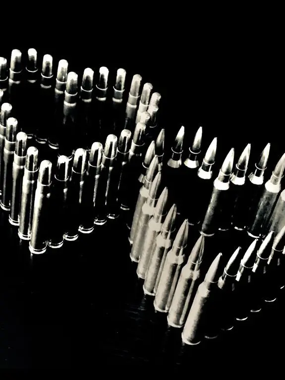 japsa의 Fritz Mauer