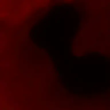 Profile image of 大河